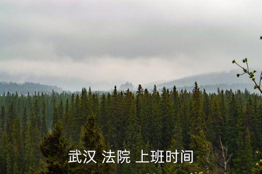 武漢 法院 上班時(shí)間