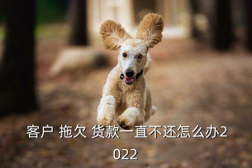 客戶拖欠貨款一直不還怎么辦,正規(guī)的停息掛賬公司
