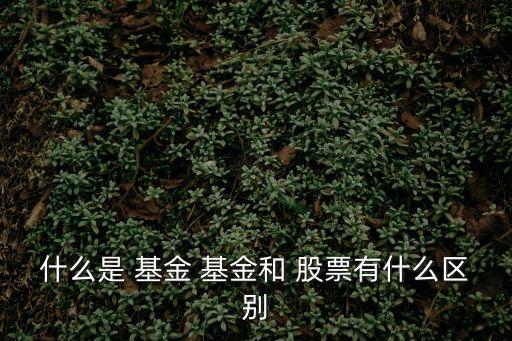 什么是 基金 基金和 股票有什么區(qū)別