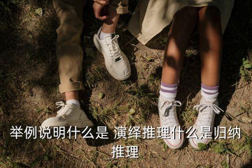 舉例說明什么是 演繹推理什么是歸納推理