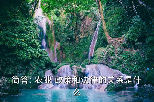 農(nóng)業(yè)政策與法規(guī)