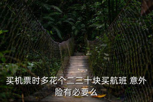 買機(jī)票時(shí)多花個(gè)二三十塊買航班 意外險(xiǎn)有必要么