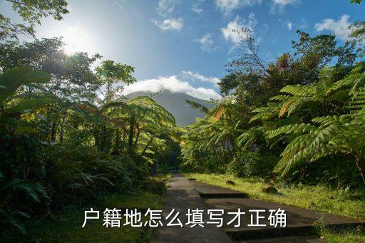 戶籍地怎么填,籍貫是指出生地還是戶籍地怎么填