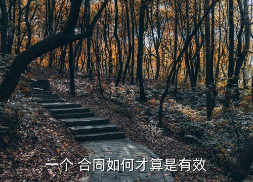一份合同怎么樣才算有效呢,怎么樣一次改多份合同