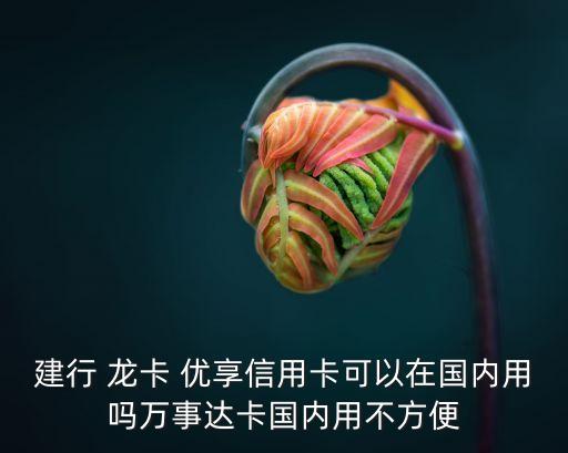 建行 龍卡 優(yōu)享信用卡可以在國內(nèi)用嗎萬事達(dá)卡國內(nèi)用不方便