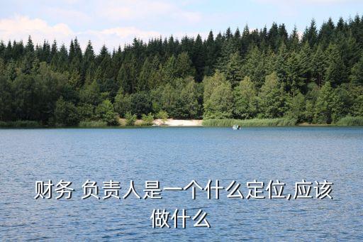  財務 負責人是一個什么定位,應該做什么