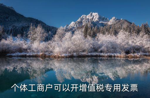 個體工商戶可以開增值稅專用發(fā)票