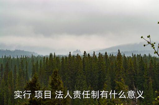 實行 項目 法人責任制有什么意義