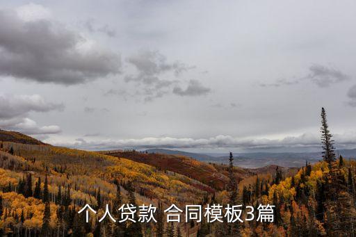 個人貸款 合同模板3篇