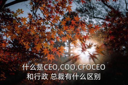 什么是CEO,COO,CFOCEO和行政 總裁有什么區(qū)別