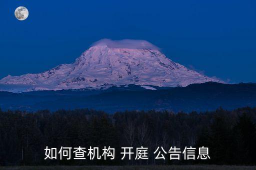 如何查機(jī)構(gòu) 開(kāi)庭 公告信息