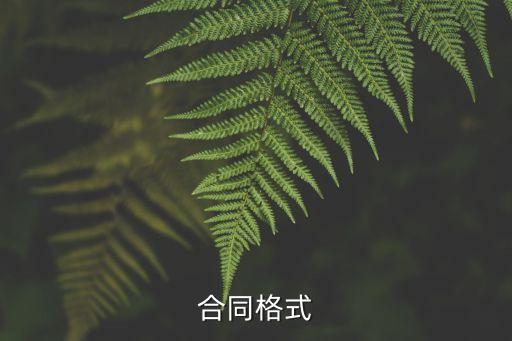 合同格式