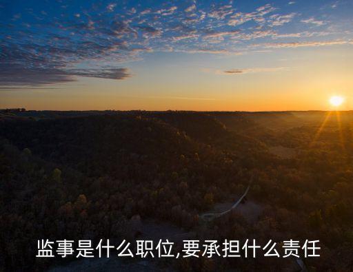  監(jiān)事是什么職位,要承擔(dān)什么責(zé)任