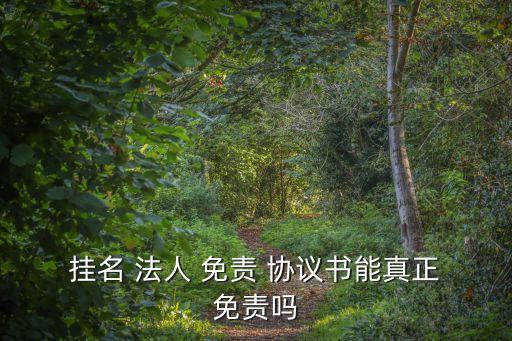  掛名 法人 免責(zé) 協(xié)議書(shū)能真正 免責(zé)嗎