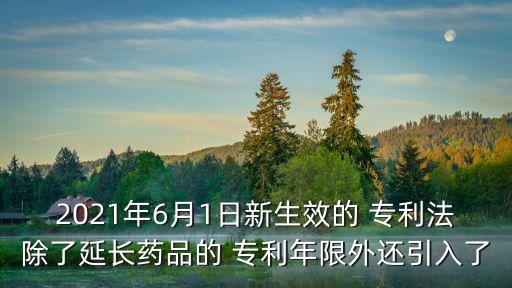 專利審查指南