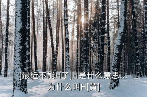 [最近不能H了]H是什么意思...為什么叫H[黃]