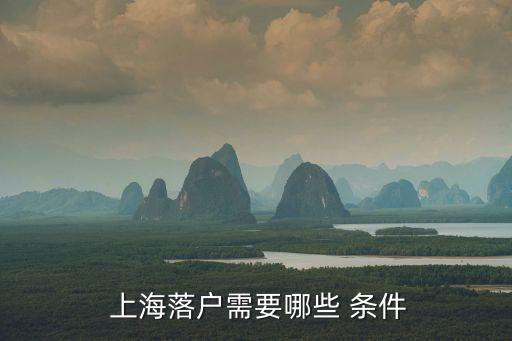 上海戶口申請(qǐng)條件,子女投靠上海戶口申請(qǐng)條件