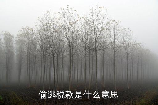 偷稅漏稅是什么意思,個人達(dá)到什么條件需要納稅