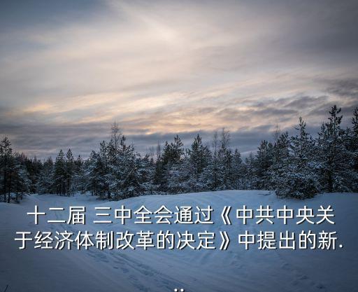  十二屆 三中全會通過《中共中央關于經濟體制改革的決定》中提出的新...
