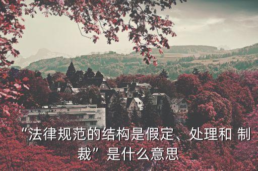 “法律規(guī)范的結(jié)構(gòu)是假定、處理和 制裁”是什么意思