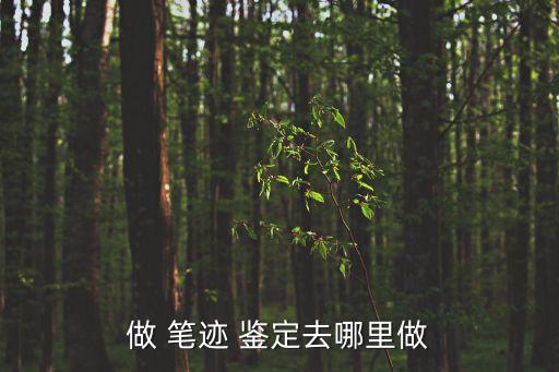 做 筆跡 鑒定去哪里做