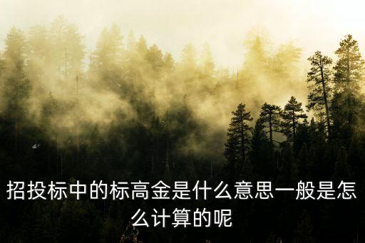招投標中的標高金是什么意思一般是怎么計算的呢