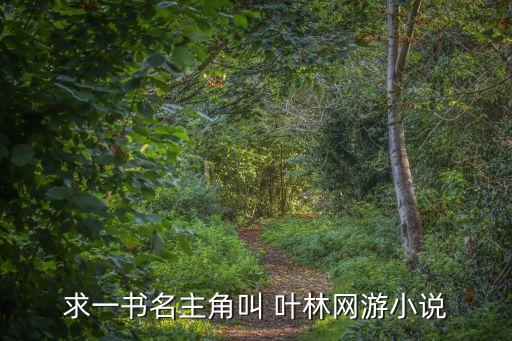 求一書名主角叫 葉林網(wǎng)游小說(shuō)