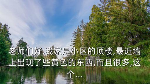 老師們好,我家是小區(qū)的頂樓,最近墻上出現(xiàn)了些黃色的東西,而且很多,這個...