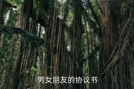 男女雙方簽訂愛情合同