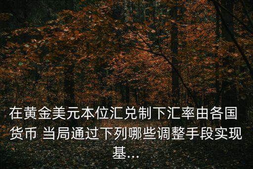 在黃金美元本位匯兌制下匯率由各國(guó) 貨幣 當(dāng)局通過(guò)下列哪些調(diào)整手段實(shí)現(xiàn)基...
