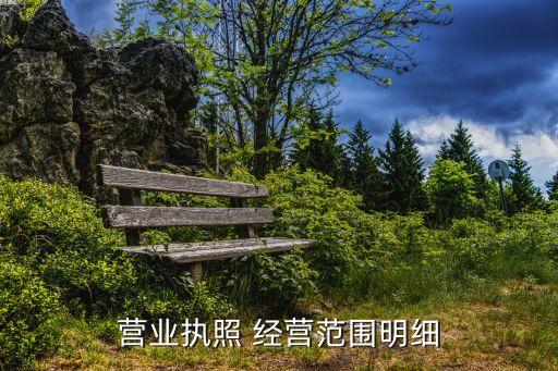營業(yè)執(zhí)照 經(jīng)營范圍明細(xì)
