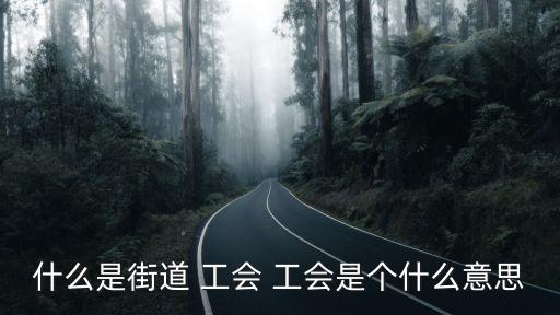 什么是街道 工會 工會是個什么意思