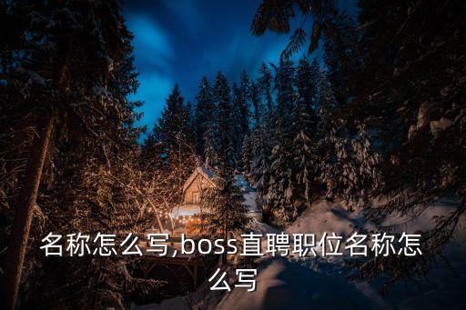 職位名稱(chēng)怎么寫(xiě),boss直聘職位名稱(chēng)怎么寫(xiě)