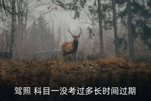 駕照 科目一沒考過多長時(shí)間過期