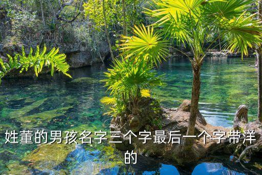 董海洋