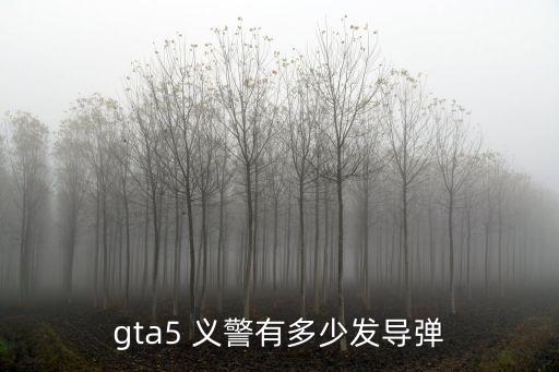 gta5 義警有多少發(fā)導(dǎo)彈