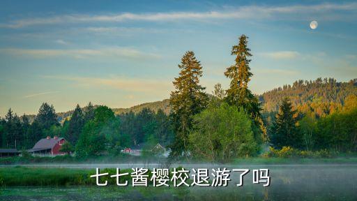 某七七醬,seven七七醬