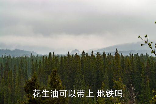 花生油可以帶上 地鐵嗎