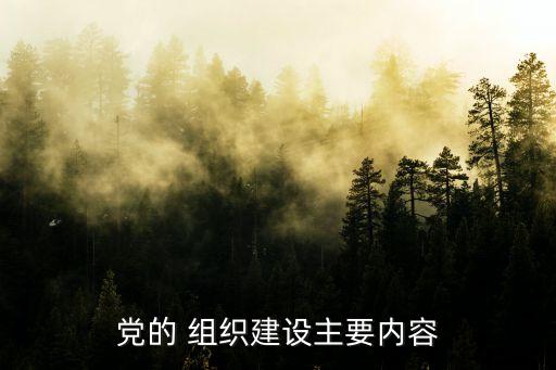 組織建設包括哪些,支部組織建設包括哪些內(nèi)容