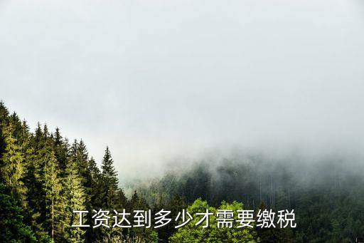 多少工資要交稅,2022年多少工資要交稅