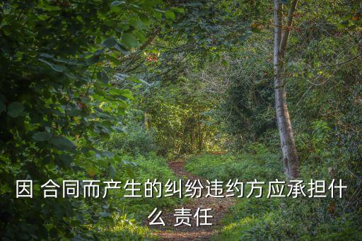 因 合同而產(chǎn)生的糾紛違約方應承擔什么 責任