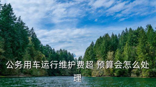 超預(yù)算