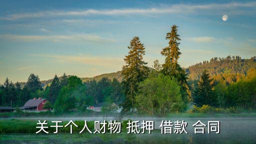 抵押借款合同,個人汽車抵押借款合同