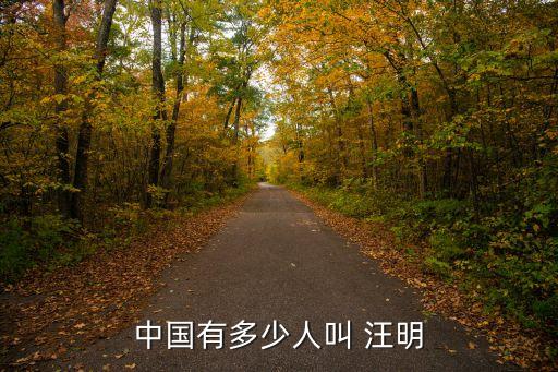 汪明