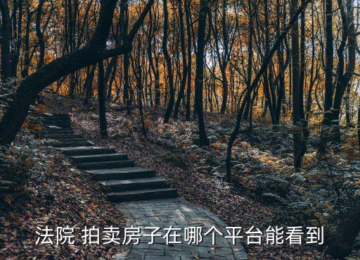 房產(chǎn)拍賣網(wǎng),淘寶司法房產(chǎn)拍賣網(wǎng)