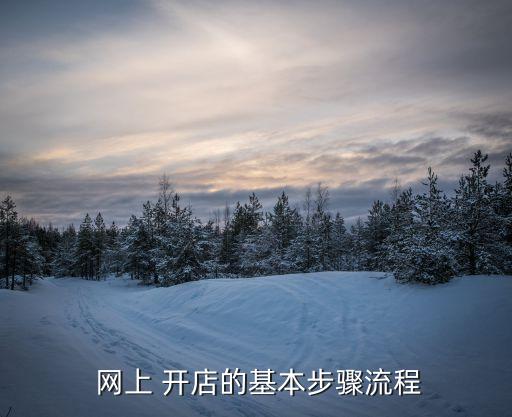 網(wǎng)上 開店的基本步驟流程