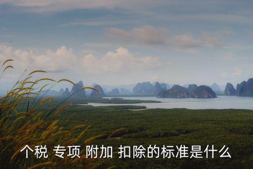 個稅 專項 附加 扣除的標(biāo)準(zhǔn)是什么