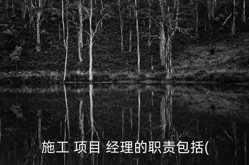施工項目經(jīng)理