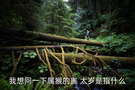 什么是害太歲