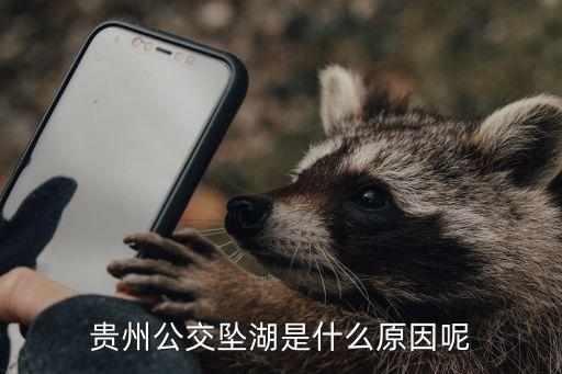 公交車墜江,萬州長(zhǎng)江二橋公交車墜江